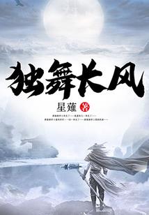 金枪大北宋