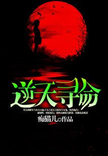情满乡村