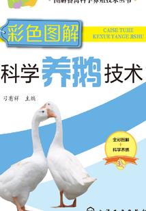 邪手攻略