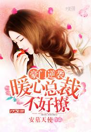 极品丑妃