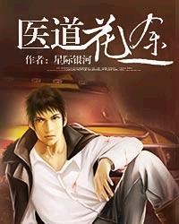 宠物小精灵之精灵猎人