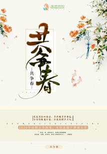 墓影迷局