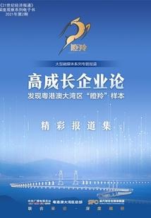 征服我的傲娇老婆