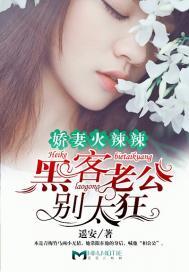 旋风少女之冷月辉煌