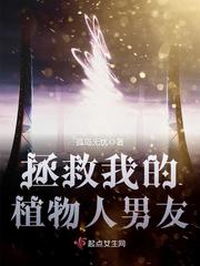 宝可梦之巅峰系统