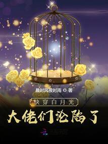 新还珠之遇到你我从不后悔