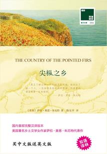 与竹马的烟花盛夏