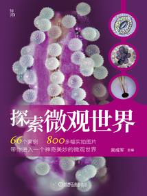 失忆的魔法师