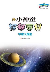 一只圣母鬼
