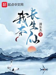 龙之侠影者