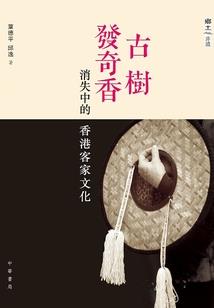 黯然消魂之绝世天神