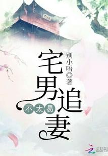 了了的夏天