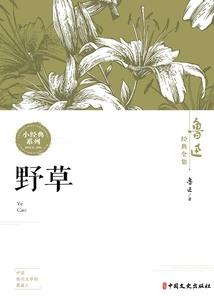 娇宠公主，今天又破案了！