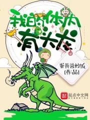 乌木簪