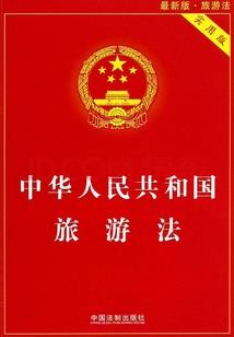 独自走的少年
