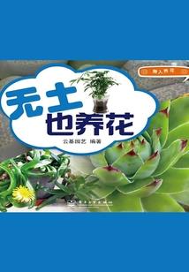 我只想拍烂片