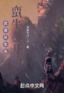 诸葛后传