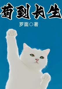 我的在段人生路