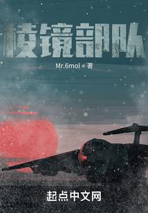 窃妃当家
