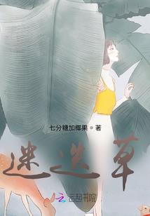 在雨季遇见你