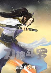 二次元某系统