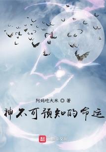 风容无物