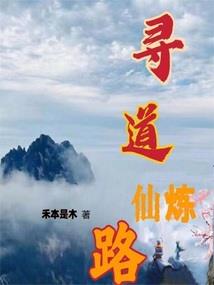 大宋齐肩王