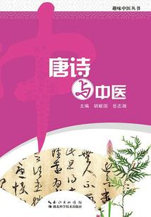 美综世界的替身使者