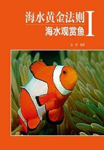 从鹏城开始成长