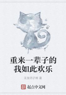 九天之风华卫