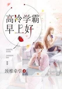 风筝有风 海豚有海