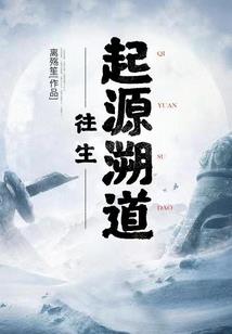 重生之民企江湖