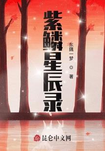 日月城之战