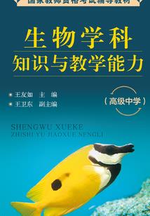 宠物小精灵之风暴少年