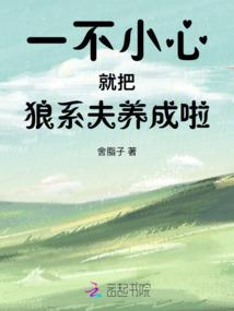 望龙传