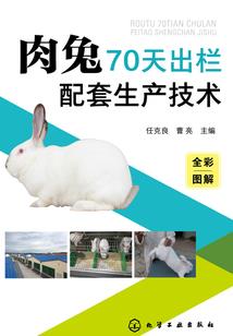 王妃择夫