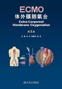 异度灵使