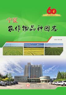 迷茫青春不迷茫