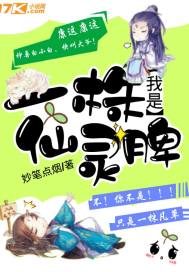 少爷追妻记
