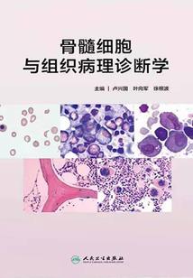 元素世界之魔神之战
