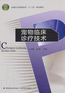 双珠传
