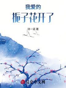 哈利波特之我真不想当黑魔王啊