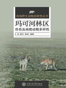 无情当铺