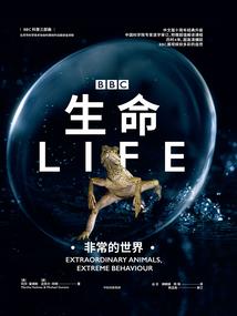 传说中的现实