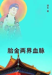 往生之摘星之旅