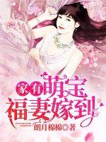 兽契至尊