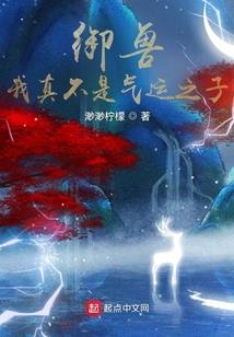 暴法传奇