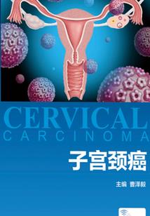 光与影的交织之心之旅