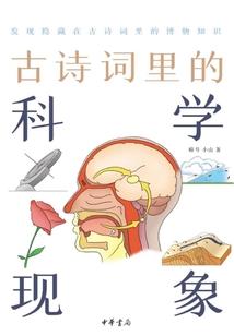 世纪末传说