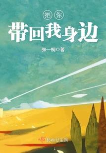 银狼纪